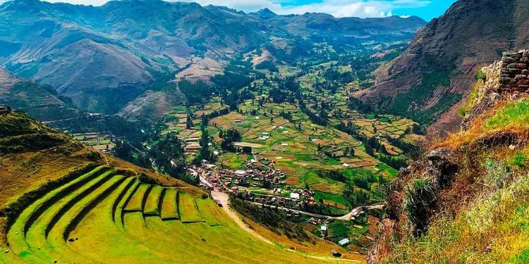 Boliviyada 20 yeni canlı növü tapıldı