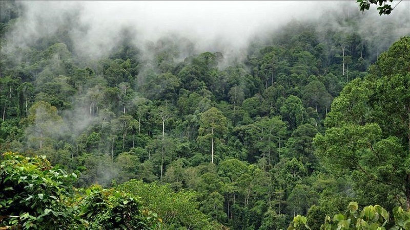 Japan, Brazil sign deal for Amazon's biodiversity