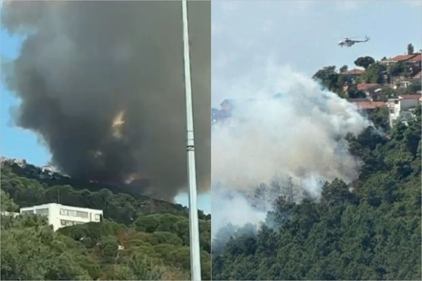 İstanbulda yenidən meşə yanğını başladı