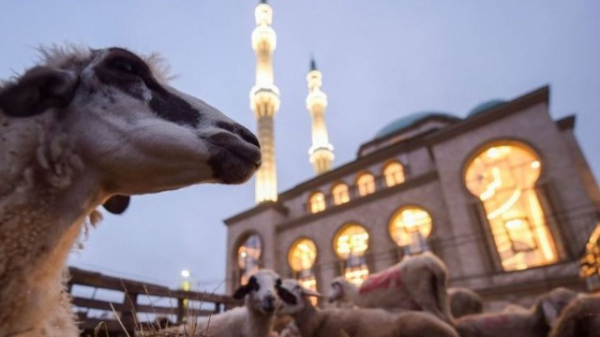 Qurban Bayramında süfrələrin bəzəyi – Ənənəvi yeməklərimiz